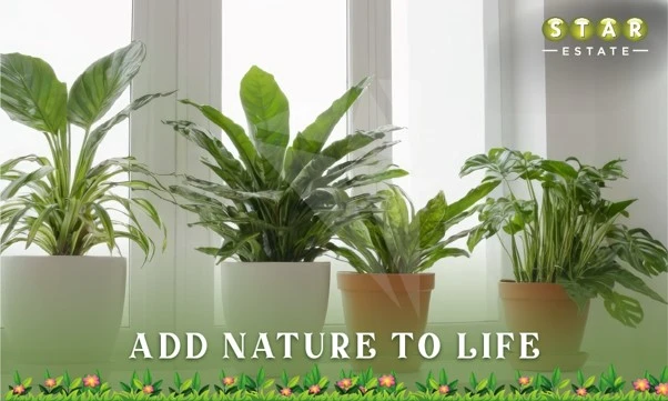 Indoor Garden Indoor Garden