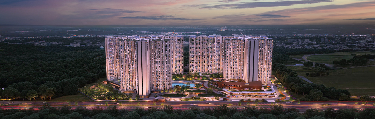 Purva Northern Lights