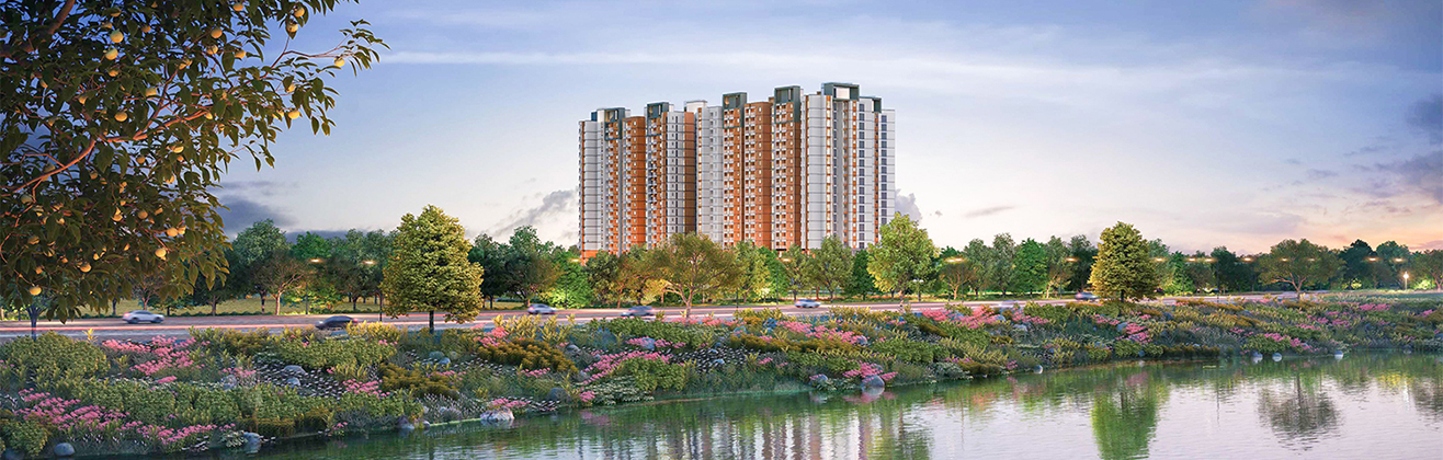 Provident Bayscape