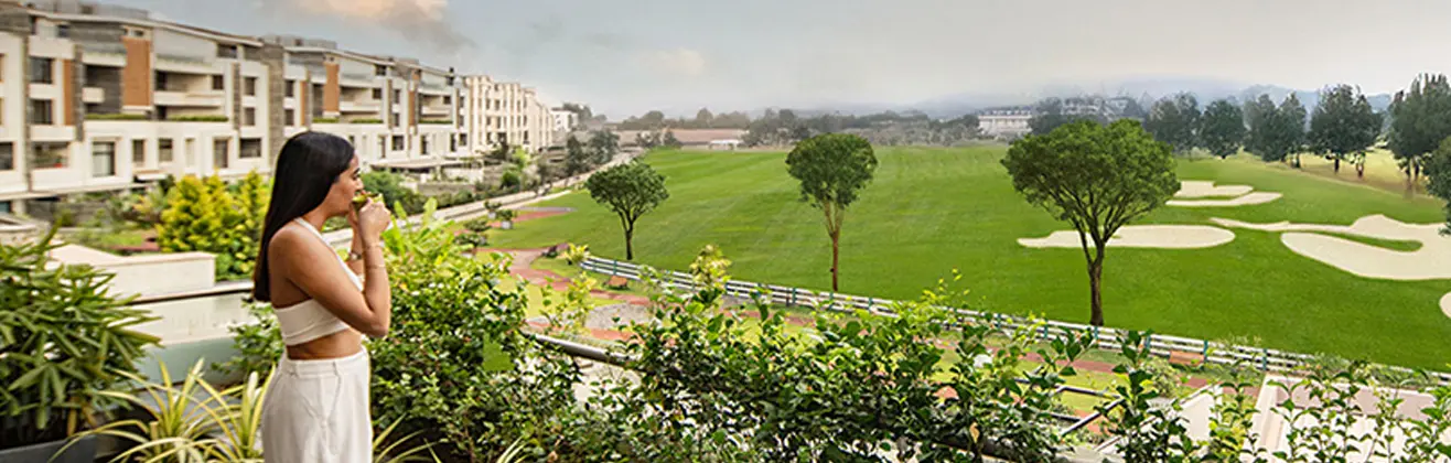 Embassy Grove