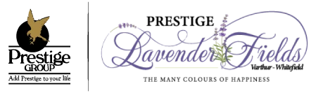 Prestige Lavender Fields